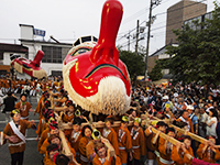 沼田まつり～天狗みこし