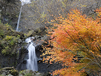 船尾滝（吉岡町）