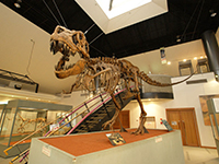 神流町恐竜センター（神流町）