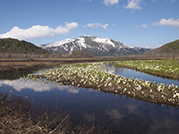 尾瀬（片品村）