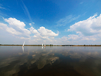 渡良瀬遊水地（板倉町）