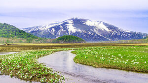 電子公告、事業計画・予算、事業報告・決算